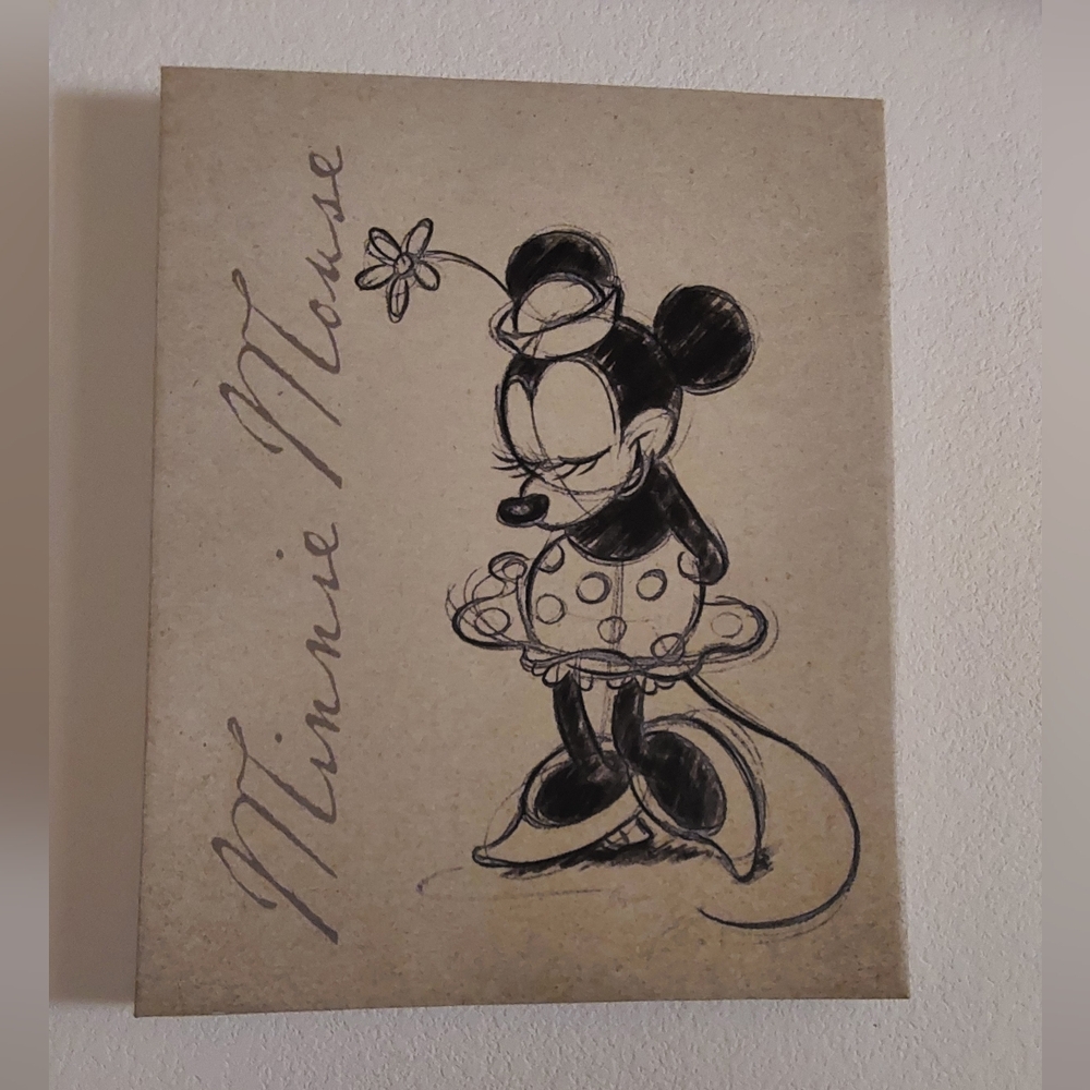 🌺 Like New Disney Minnie Mouse Stretched Canvas Art Print